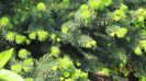 IMG_5358