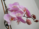 DSCN1602_003