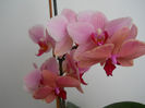 DSCN1604_005