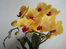 DSCN1605_006