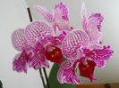 DSCN1611_012