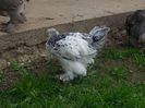 20140502_155124