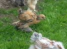 20140502_155131