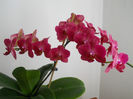DSCN1618_019