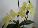DSCN1619_020