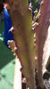 WP_20140504_002
