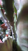 WP_20140504_003
