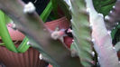 WP_20140504_004