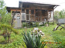 DSCN8343