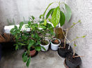 20140504_155606