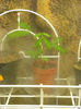 20140413_153105