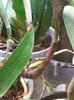 20140429_194658