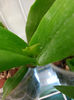 20140429_200002