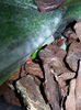 20140429_200054