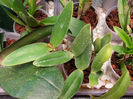 20140429_200203