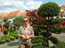 Sibiu (72)