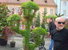 Sibiu (75)