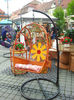 Sibiu (78)