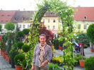 Sibiu (91)