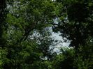 DSCN8037