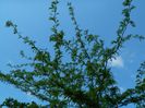 DSCN8073