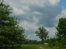 DSCN8078