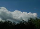 DSCN8079
