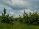 DSCN8084