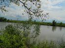 DSCN8085