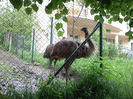 Zoo Sibiu (10)