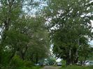DSCN8096