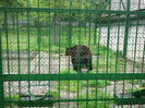 Zoo Sibiu (22)