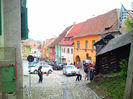 Sighisoara (54)