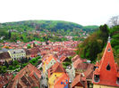 Sighisoara (86)