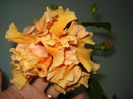 DSC08282