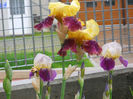 DSCN1622_002