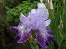 DSCN1623_003