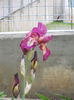 DSCN1621_001