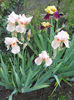 DSCN1627_007