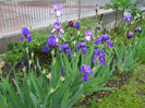 DSCN1628_008