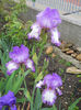 DSCN1631_011