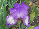 DSCN1632_012