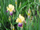 DSCN1644_024
