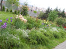 DSCN1646_026