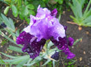 DSCN1651_031
