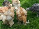 20140502_155207