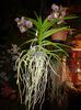 20140504_215322