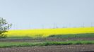 DSC00200