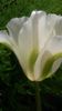 20140503_131910