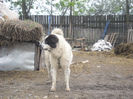 SAM_1588